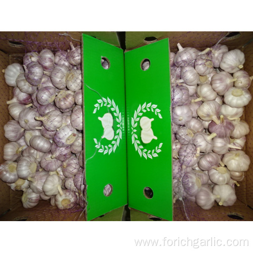 Normal White Garlic New Crop With Best Quality